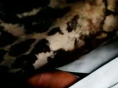 Lesbian người đấm bóp đàn bà phim sec nhat ban khong che mang đồ chơi ra cho một phiên đặc biệt