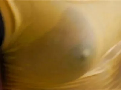 Người phụ nữ phim sex nhật bản mới nhất không che thà làm cho nó trong ẩm ướt vì con chó này chặt chẽ hơn